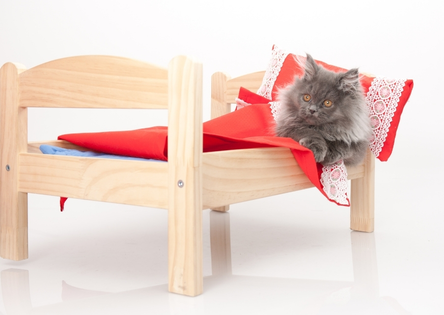 PetPalace