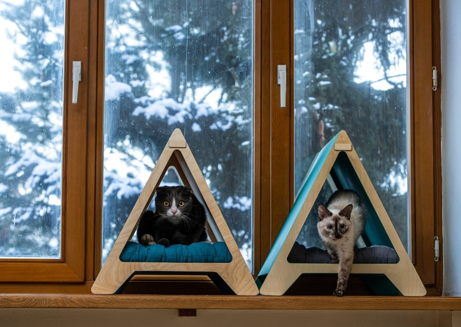 PetPalace